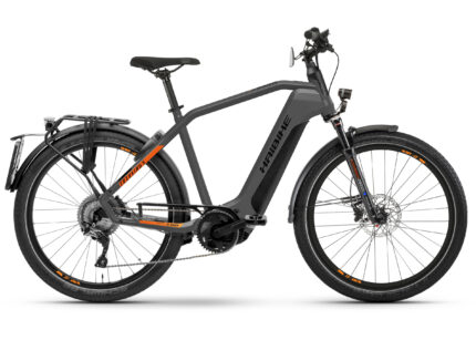 HAIBIKE Trekking S 10 Diamant grau