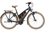 Riese und Müller Cruiser Mixte 2022